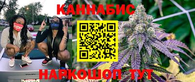 стафф Будённовск