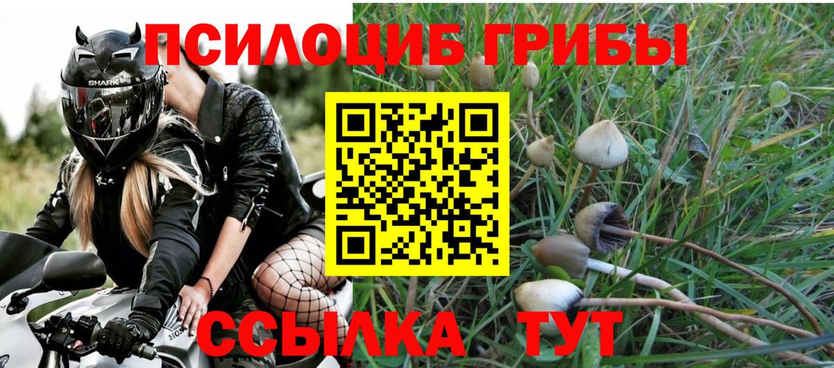 Галлюциногенные грибы Magic Shrooms Мытищи