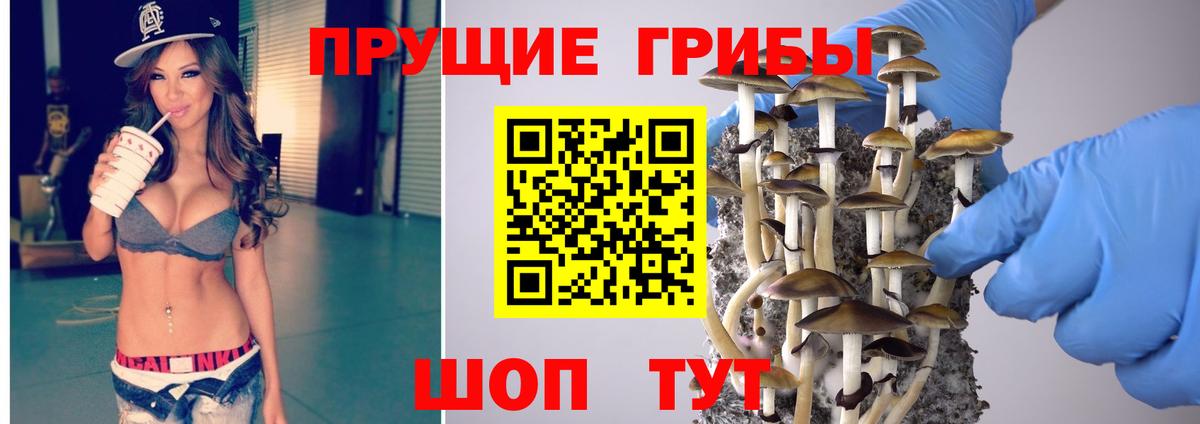 Галлюциногенные грибы Cubensis  даркнет сайт  Галлюциногенные грибы MAGIC MUSHROOMS  Мытищи  Вход с VPN 